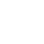Florida Courts icon