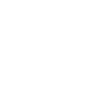 Affordable Care Act Insurance Options Icon